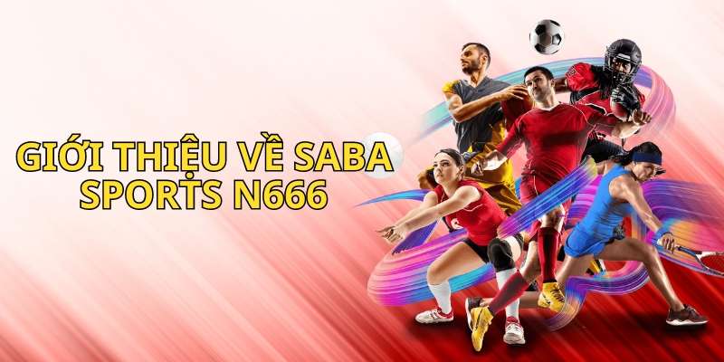 Đôi nét giới thiệu về Saba Sports N666