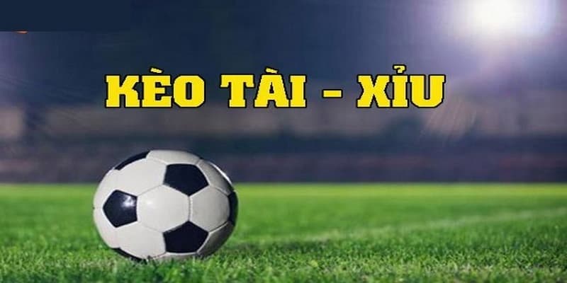 Tìm hiểu về cược Tài Xỉu