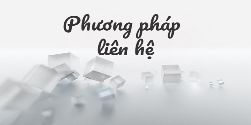 Cập nhật cách liên hệ N666 hữu ích cho thành viên