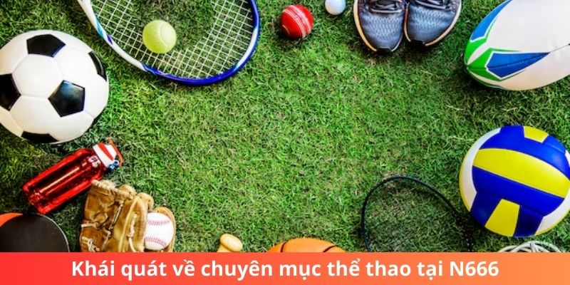 Khái quát về chuyên mục thể thao tại N666