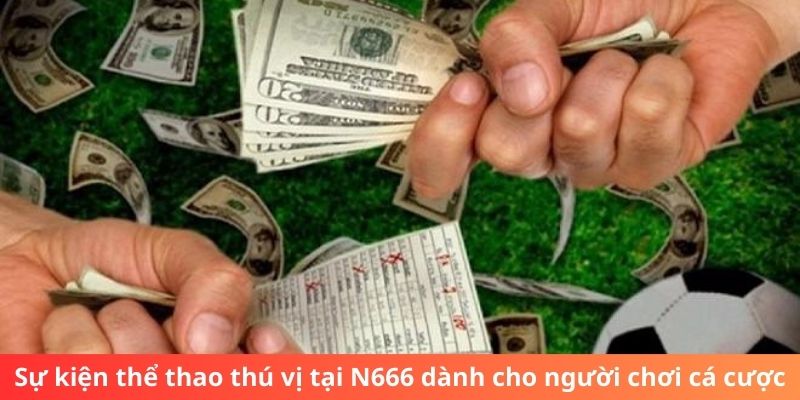 Sự kiện thể thao thú vị tại N666 dành cho người chơi cá cược